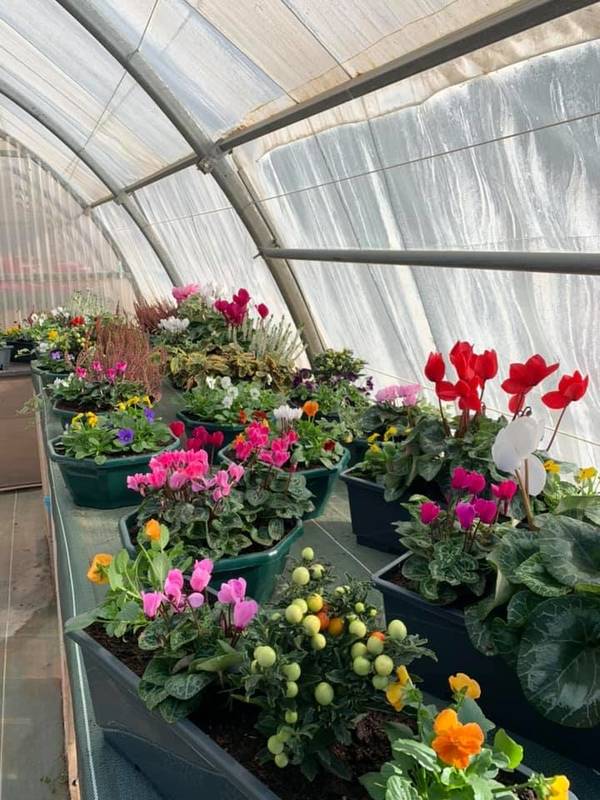 horticulture