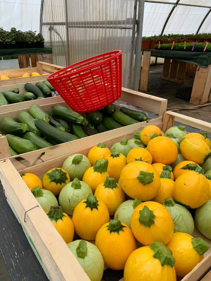 légumes