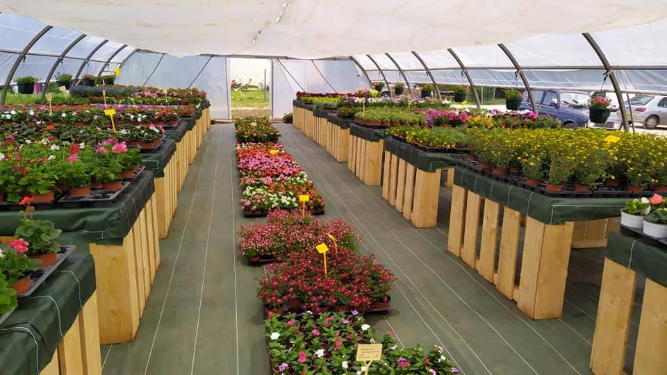 horticulture